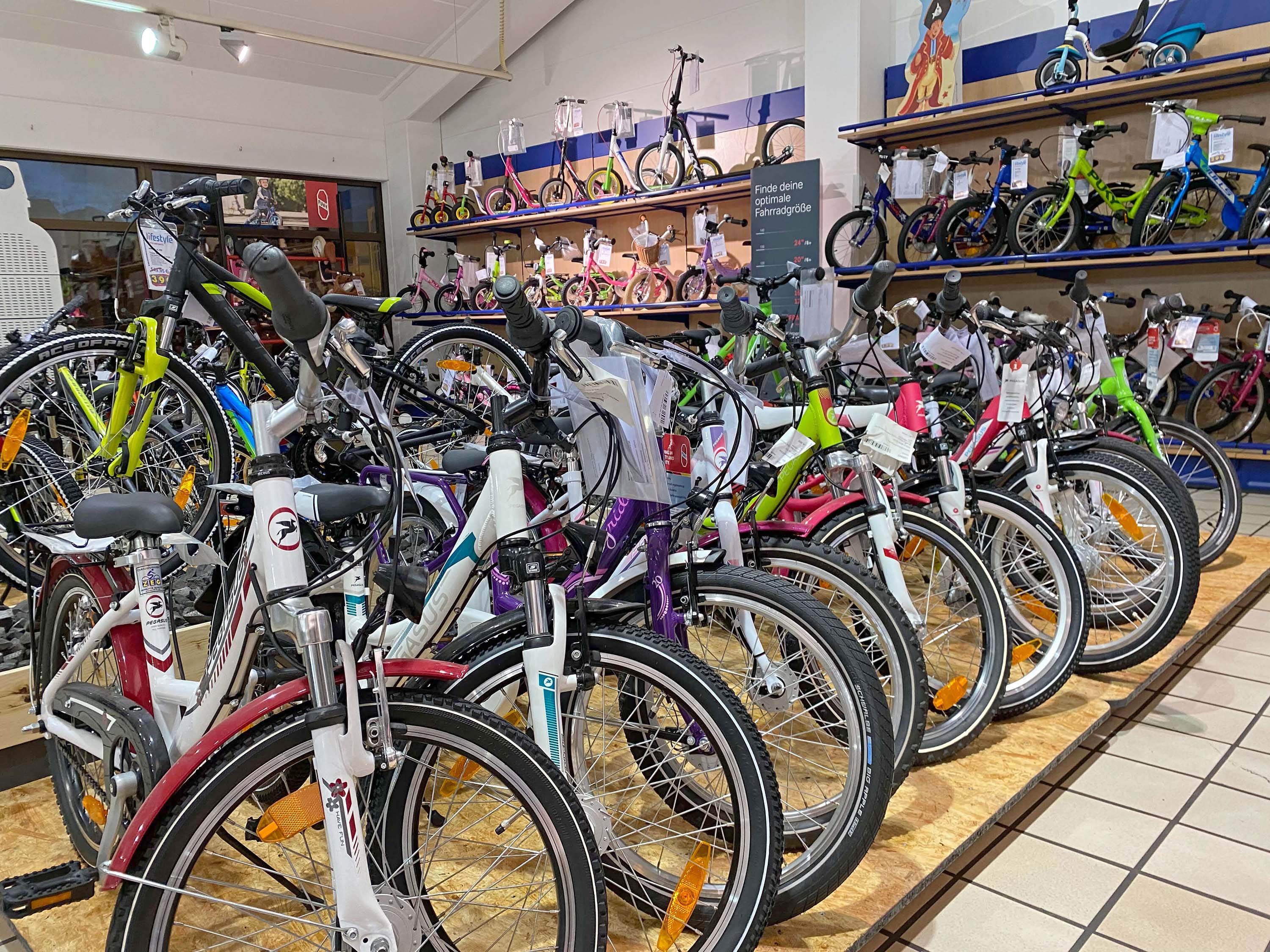 Lifestyle-Innenansicht-Showroom-Jugend